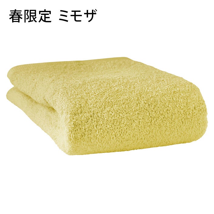 バスタオルやめました ビッグフェイスタオル 大きな100cm丈【ヒオリエ