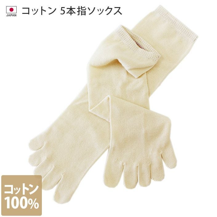 冷えとり靴下 コットン 5本指ソックス （重ね履き専用）