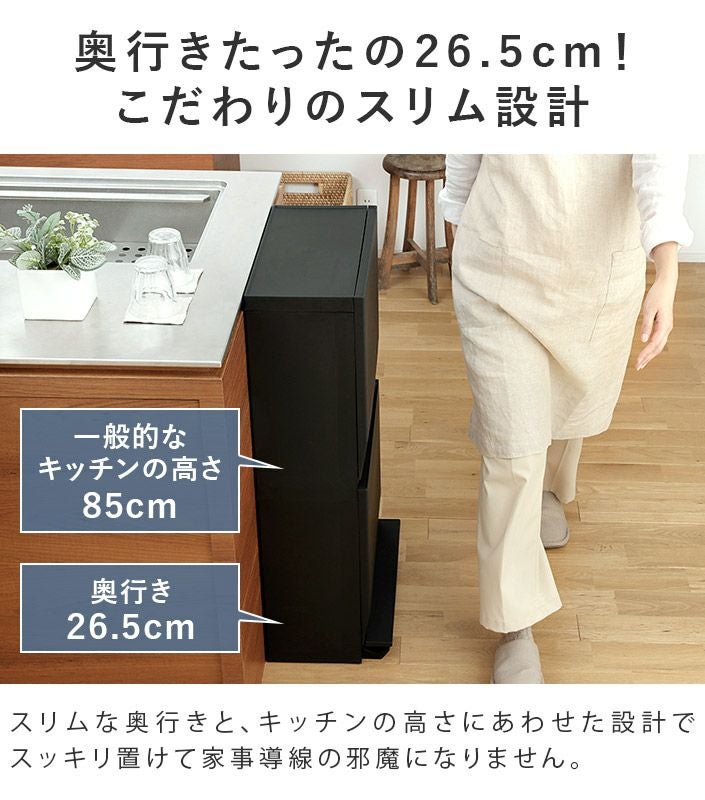送料無料）【特典付き】日本製 分別 ダストボックス ワイド 2段 45L