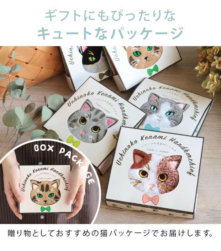 今治タオル ハンカチタオル うちのニャンコ 毛並みシリーズ【バス